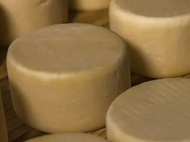 Queijos autorais e queijos artesanais de origem