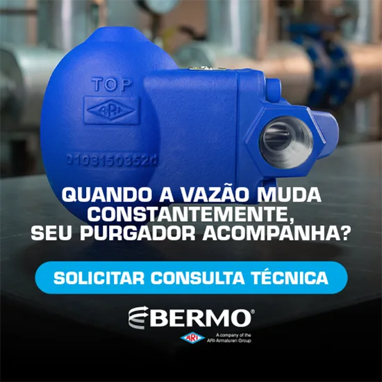 BERMO VÁLVULAS E EQUIPAMENTOS INDUSTRIAIS LTDA