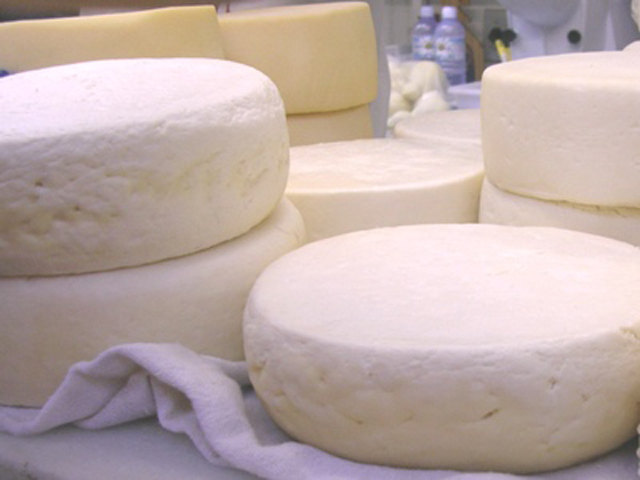 Audiência pública discute projeto sobre produção e venda dos queijos artesanais