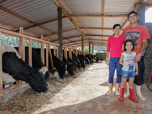 Leite da região de Arenito impulsiona produção e transforma vida de agricultores no PR