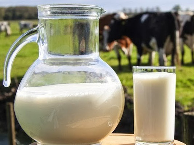 Indústria paga 60% a mais para produção de leite orgânico