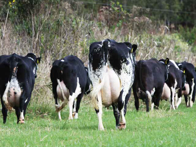 Utilização de ureia de liberação lenta em substituição parcial ao farelo de soja para vacas leiteiras primíparas da raça Girolando