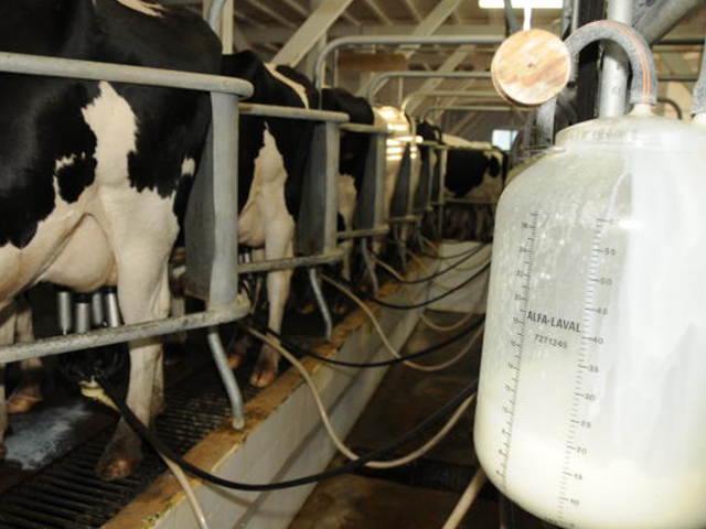 Valor Bruto da Produção Agropecuária de Minas deve recuar 0,9% em 2018, aponta o Mapa