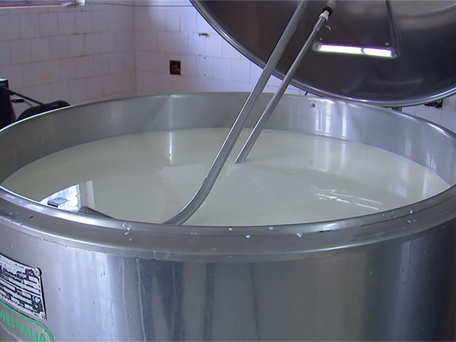 Produtores começam a ter de jogar leite fora no RS