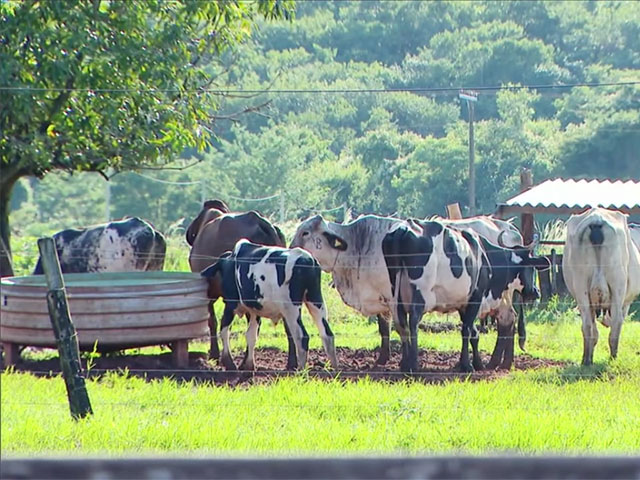 Empresários do agronegócio estão pessimistas com o País