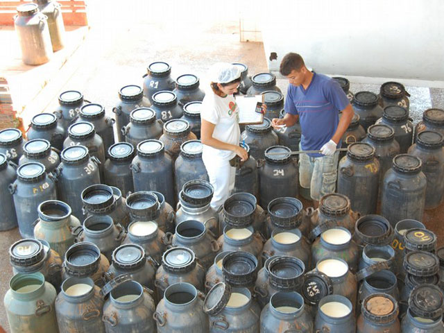 Influência da qualidade do leite cru em produtos lácteos processados