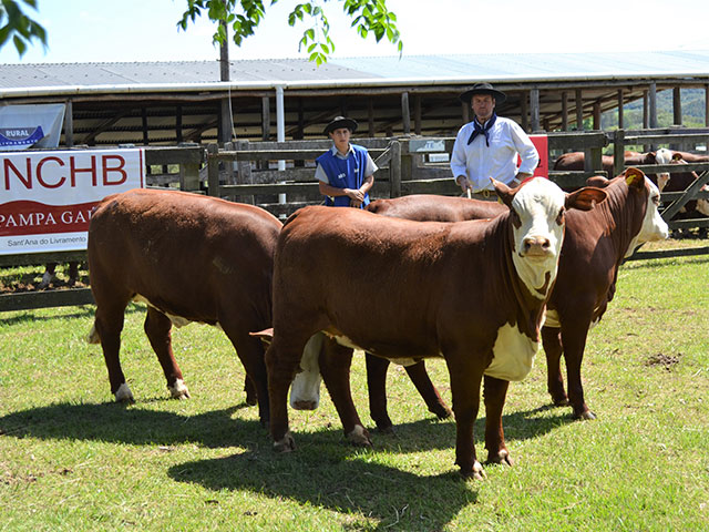 Até o dia 21, Sant‘Ana do Livramento realiza sua 80ª Expofeira