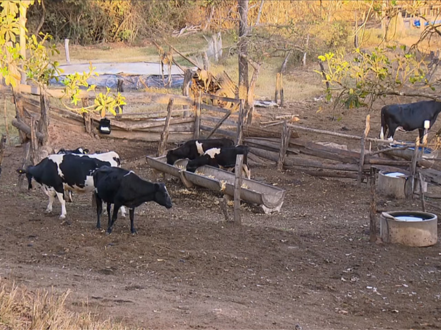 Projeto na Bahia ajuda produtores rurais a superar o período de seca