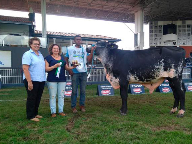 Começou o julgamento de Girolando na ExpoZebu 2019