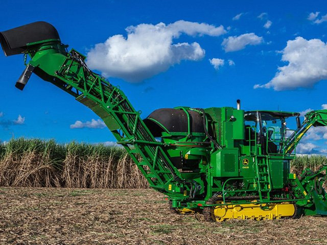 Cultivo de cana-de-açúcar entra como opção em solos arenosos