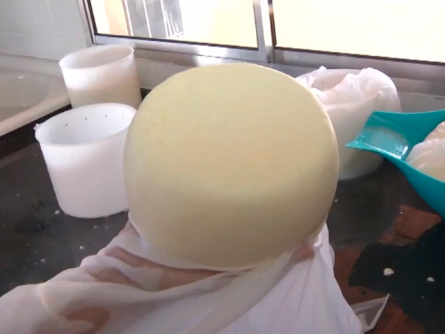 Produtores rurais de Porteirinha buscam selo de qualidade de produção do queijo artesanal