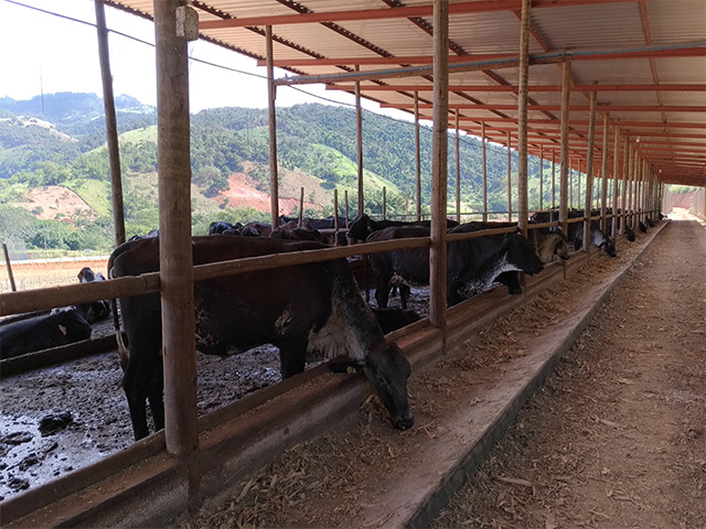 Conseleite/SC: preço do leite padrão tem variação positiva de R$ 0,04