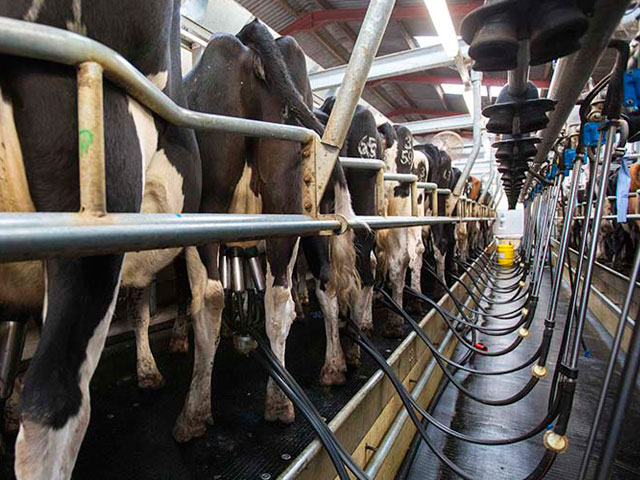 Cooperativa de laticínios da Dale Farm registra lucros recorde