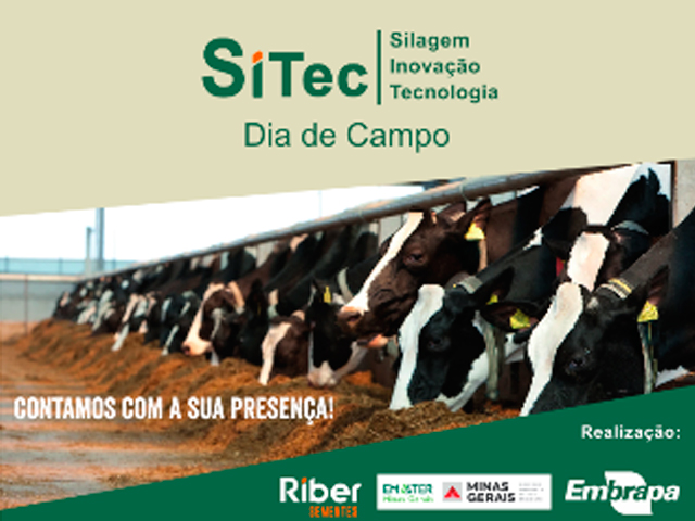 Embrapa, Emater e Riber Sementes realizarão dia de campo de silagem em Coronel Pacheco/MG