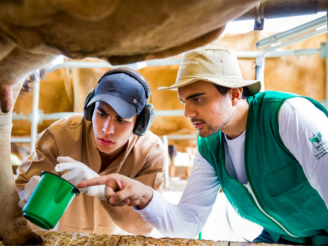 Senar abre inscrições para oferecer assistência técnica gratuita a produtores de leite