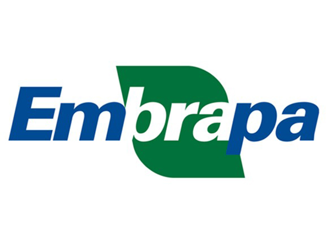 Embrapa oferta bovinos comerciais em leilão no DF no próximo dia 19