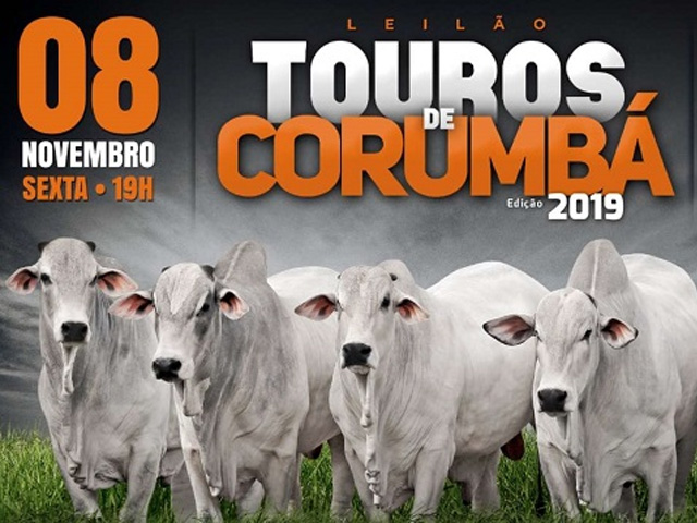Embrapa oferta touros elite em leilão no Pantanal