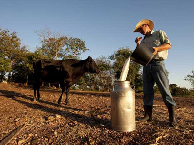 Secretaria da Agricultura cria grupo de trabalho para acompanhar efeitos da estiagem no RS