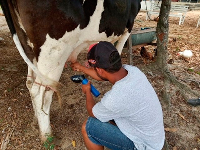 Produtores do Oeste de Mato Grosso ameaçam greve se preço não melhorar