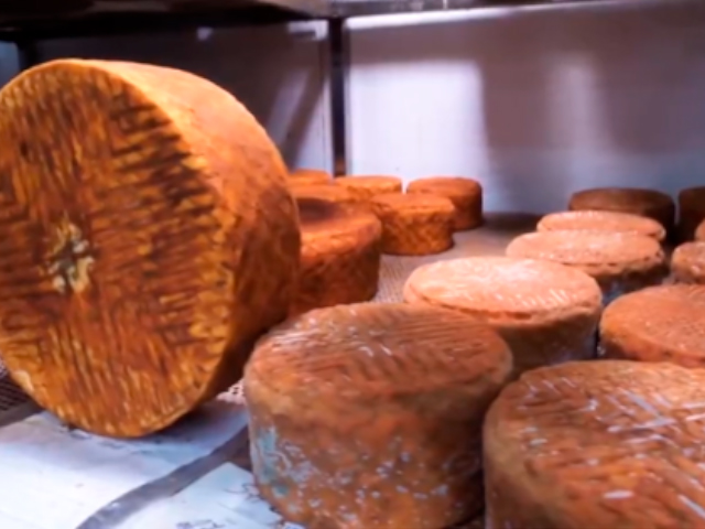 Queijo de cabra produzido nas Ilhas Canárias é considerado um dos melhores do mundo