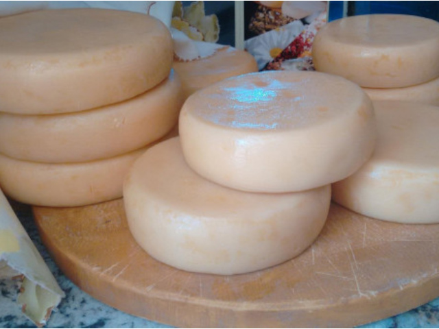 EPAMIG auxilia produtores de queijo artesanal no Campo das Vertentes