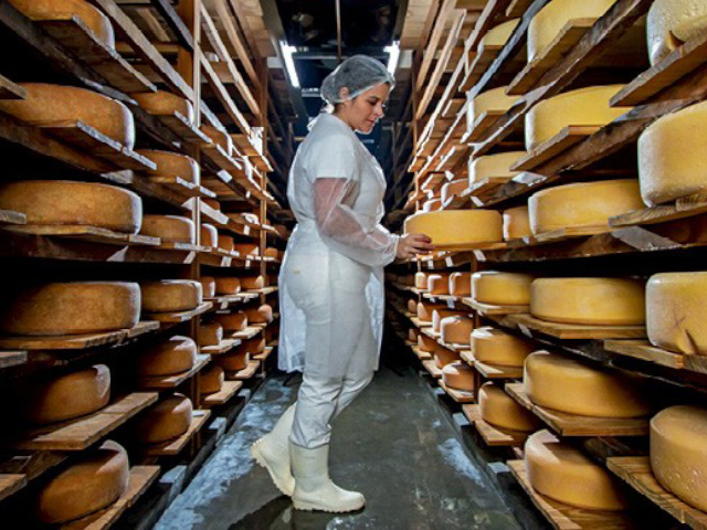 Produtores de queijo artesanal pedem tarifa especial aos Correios devido à pandemia
