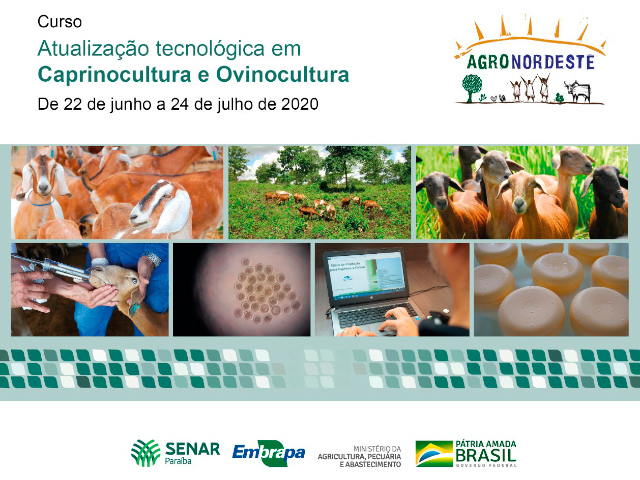 Programa Agronordeste: Embrapa Caprinos e Ovinos inicia capacitação de técnicos do Senar
