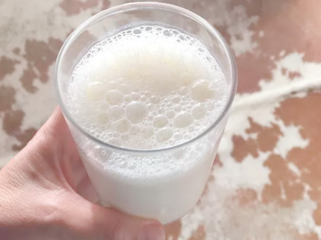 Dia do Leite reforça a importância nutricional e econômica do alimento