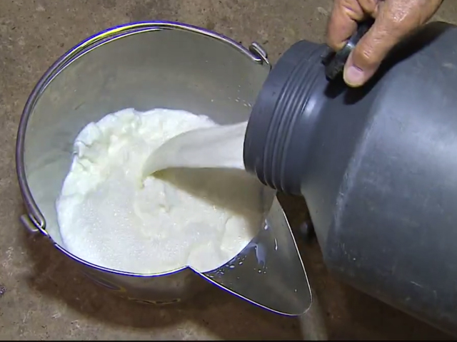 Produtores de leite vão poder fazer empréstimos a juros baixos no RJ
