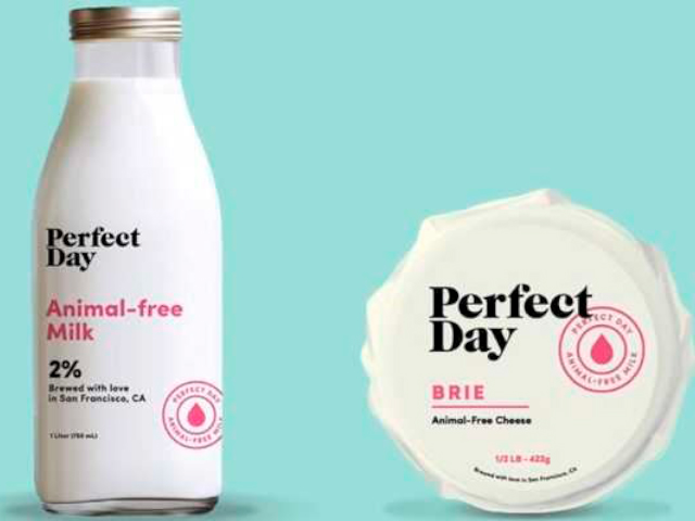 Perfect Day levanta US$ 300 milhões para produzir lácteos sem o uso de animais