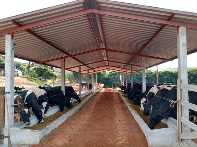 Programa Gestão com Qualidade em Campo revoluciona fazenda leiteira em Piedade do Rio Grande-MG