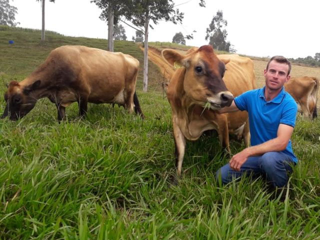 Trabalho da Epagri eleva a qualidade do leite em propriedades rurais de SC