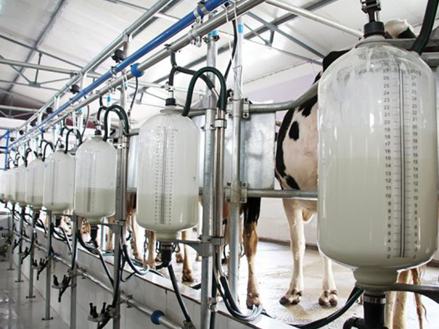 Competição acirrada por matéria-prima deve elevar cotações em julho