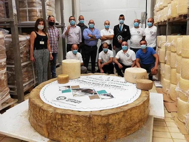Cidade italiana cria o maior queijo pecorino do mundo