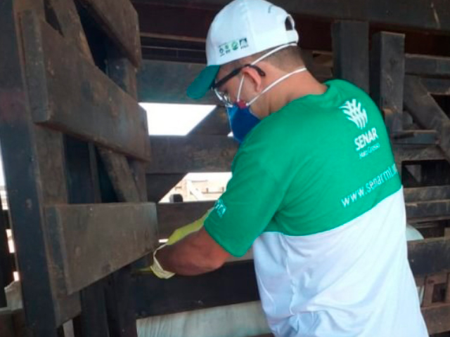 Pecuaristas se preparam para 2ª etapa de vacinação contra brucelose