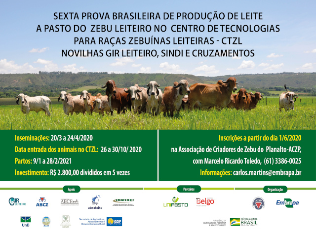 Inscrições abertas para a 6ª Prova de Produção de Leite a Pasto no DF