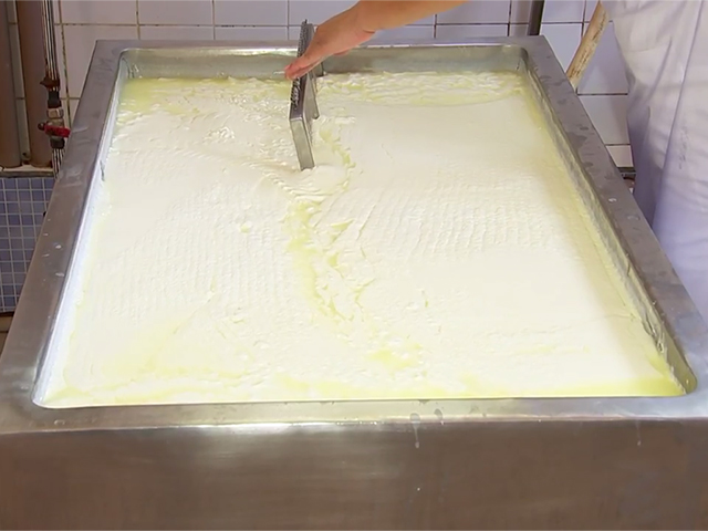 Mapa define identidade e requisitos de qualidade para cream cheese, provolone, queijo minas meia cura e sobremesa láctea