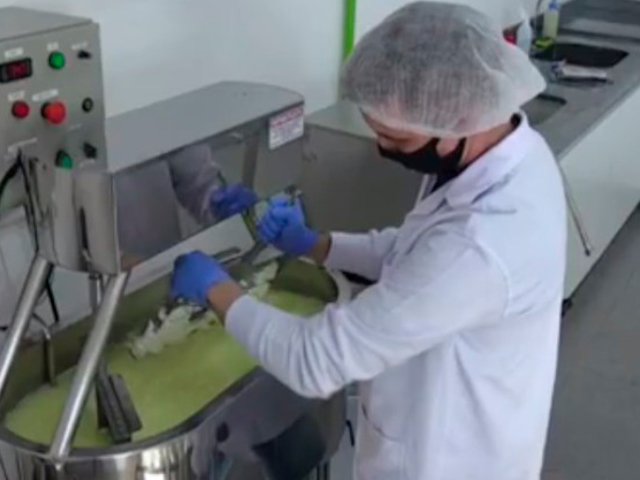 Após queda de 80% na produção de laticínios no Paraná, negócios começam a retomar a normalidade