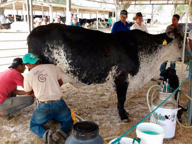 Sergipe registra bom momento da cadeia produtiva do leite