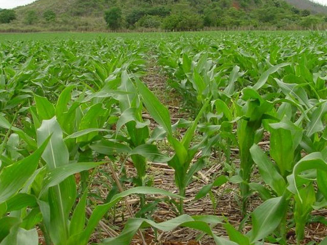 Integrantes do Agro alertam para necessidade de o País cumprir requisitos ambientais