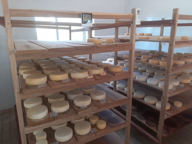 Programa ATeG chega para aprimorar ainda mais o tradicional queijo Canastra