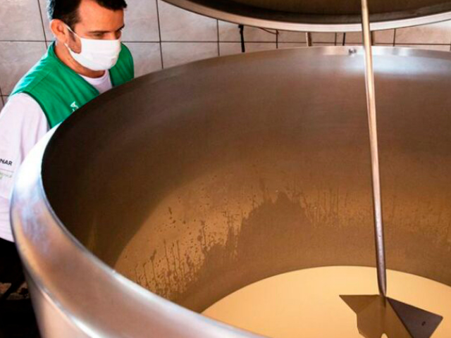 Demanda interna por produtos lácteos demonstra potencial e novas possibilidades para produtores rurais de MS