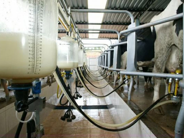 Produção de leite fluido da Argentina será a menor em 10 anos