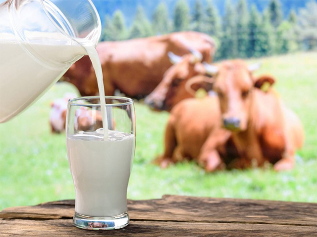 Selo de origem para leite de vacas a pasto