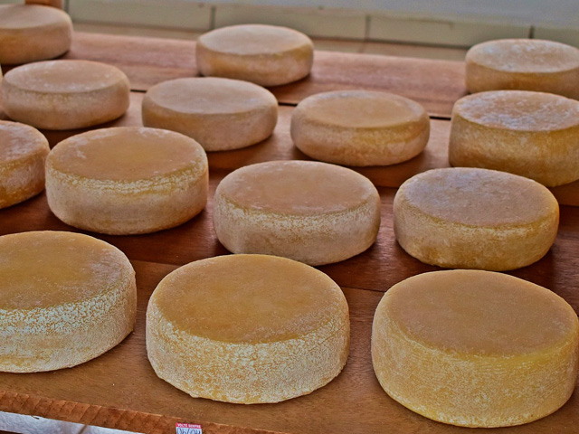 Experimentos agregam valor em queijo produzido no Campo das Vertentes-MG