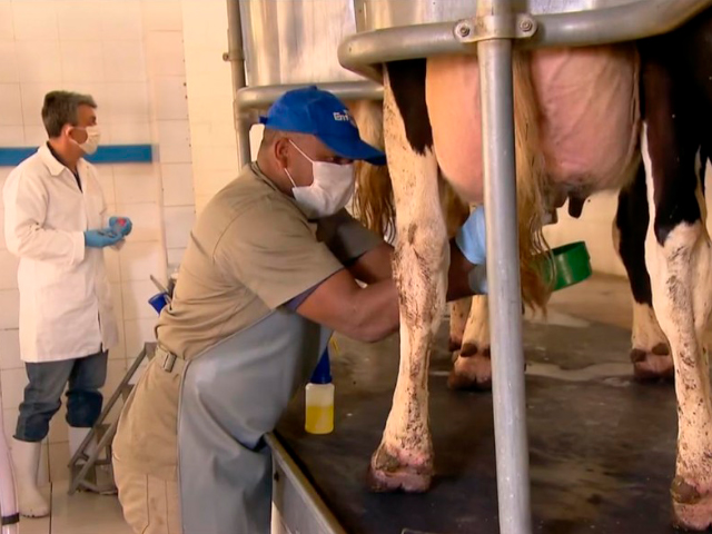 Governo anuncia aumento de 11,1% no valor pago aos produtores cadastrados no Programa do Leite Potiguar