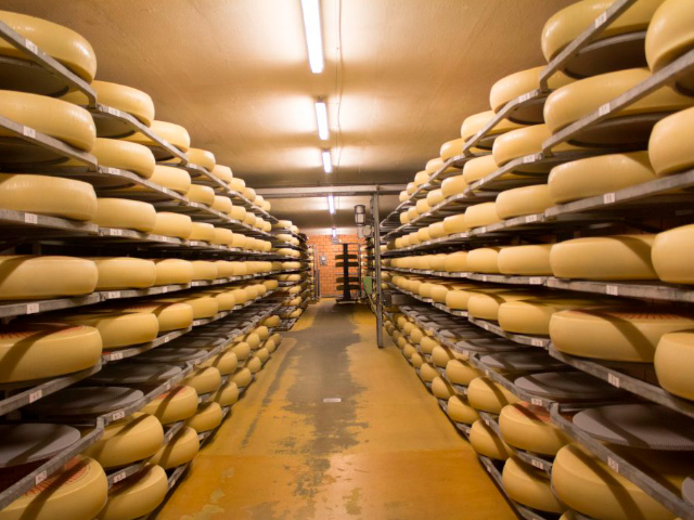 Fabricante de queijo suíço é investigado após 10 mortes por listeriose