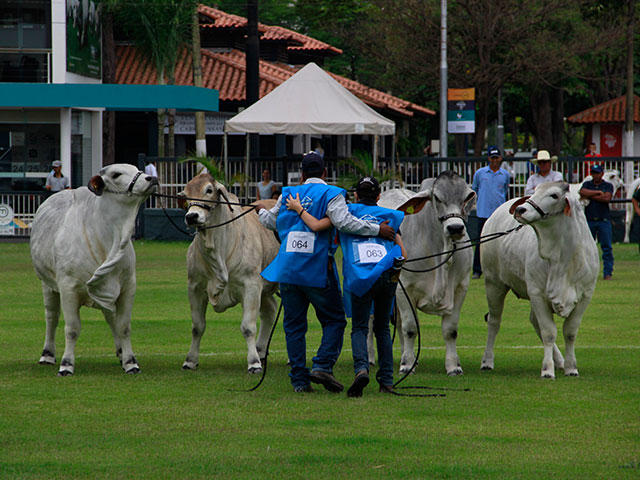 Confirmada a tradicional Expofeira de Sant’Ana do Livramento