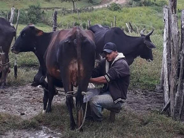 Jovem rural do Vale do Jequitinhonha conta com assistência técnica da Emater-MG para se manter no campo