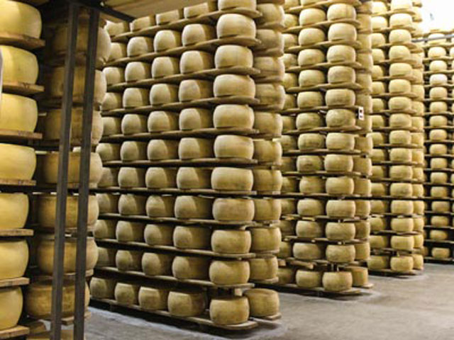 Mercados globais de queijo atingem recordes históricos em 2019